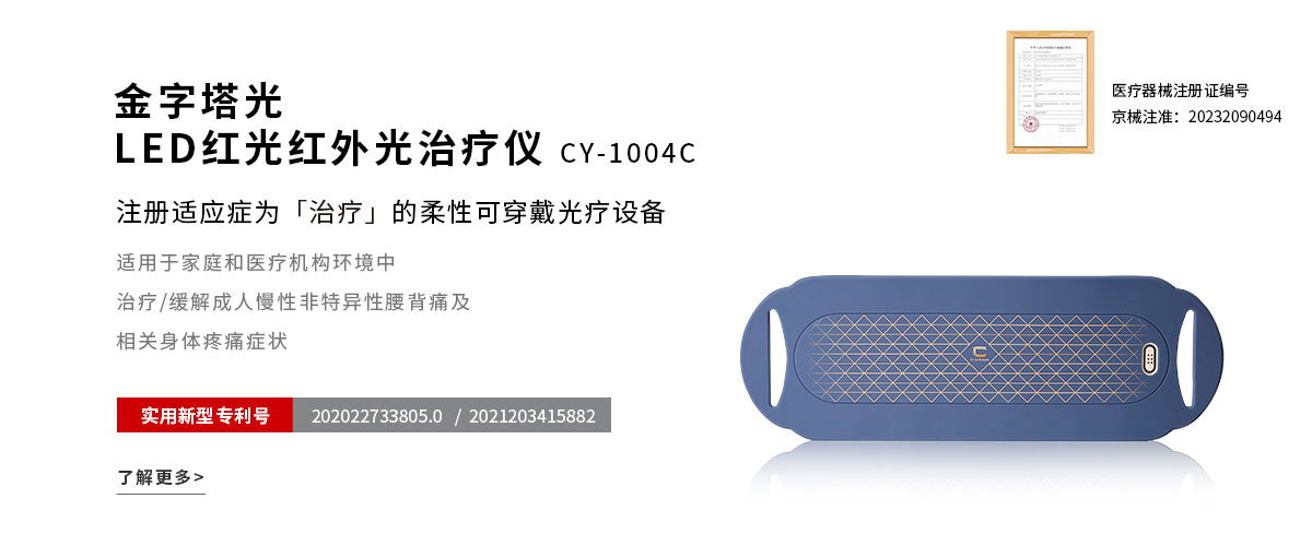 LED红光红外光治疗仪CY1004C
